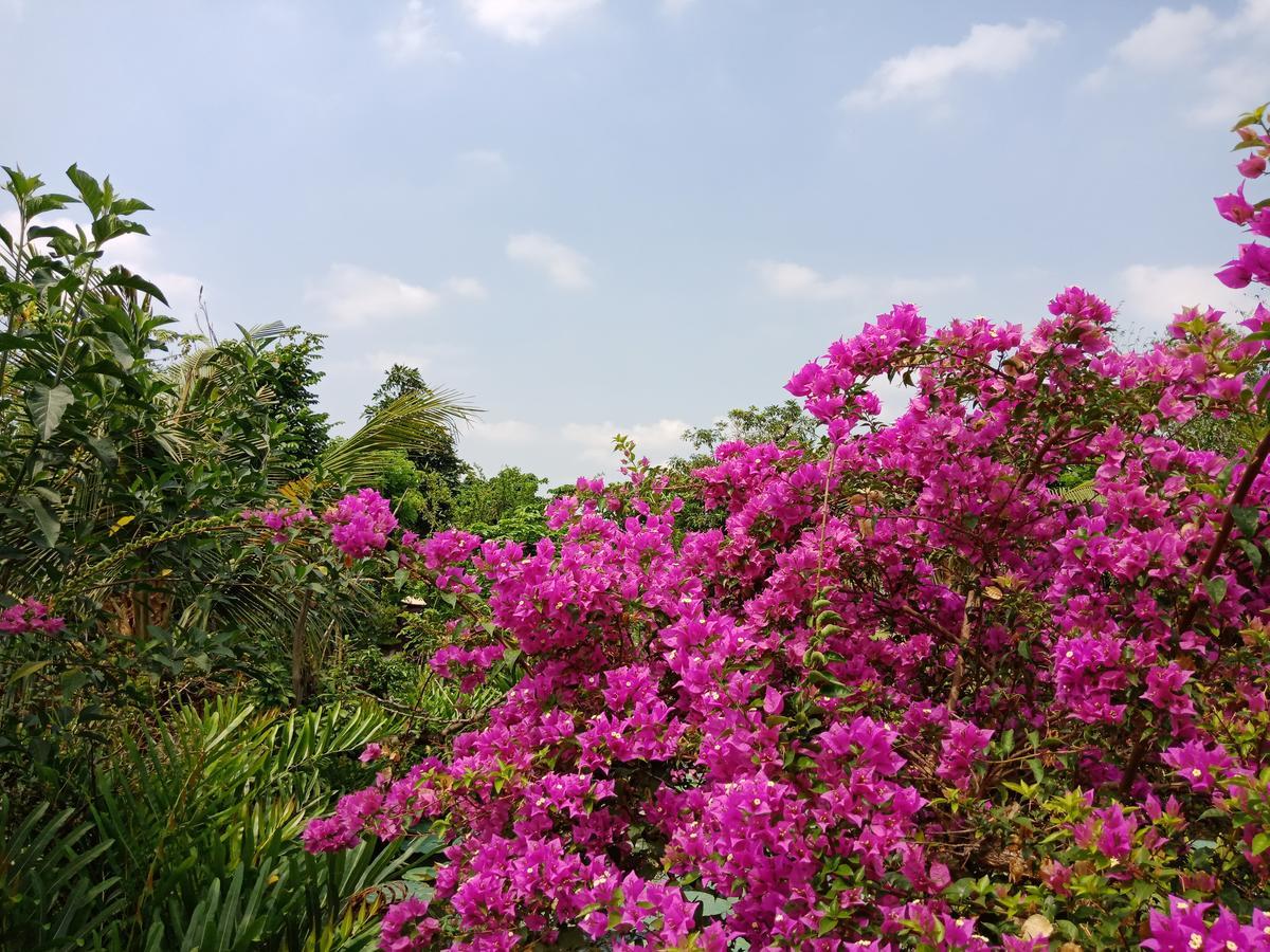 Saigon Riverside Retreat Ho Chi Minh City Bagian luar foto